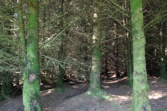 IMG_8043.JPG