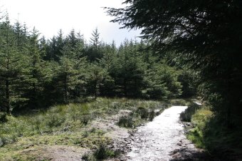 IMG_8044.JPG