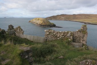 IMG_8068.JPG