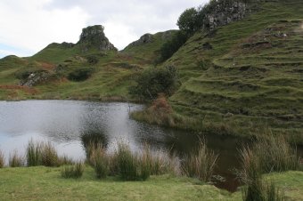 IMG_8072.JPG