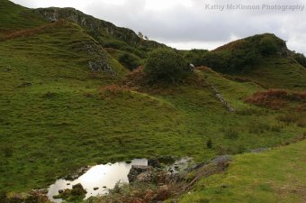 IMG_8089.JPG
