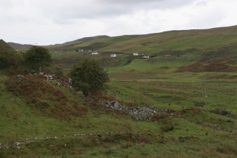 IMG_8110.JPG