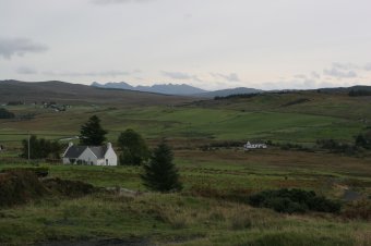 IMG_8124.JPG