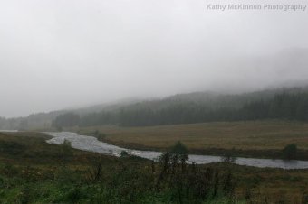 IMG_8128.JPG