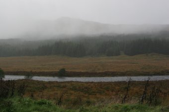 IMG_8129.JPG